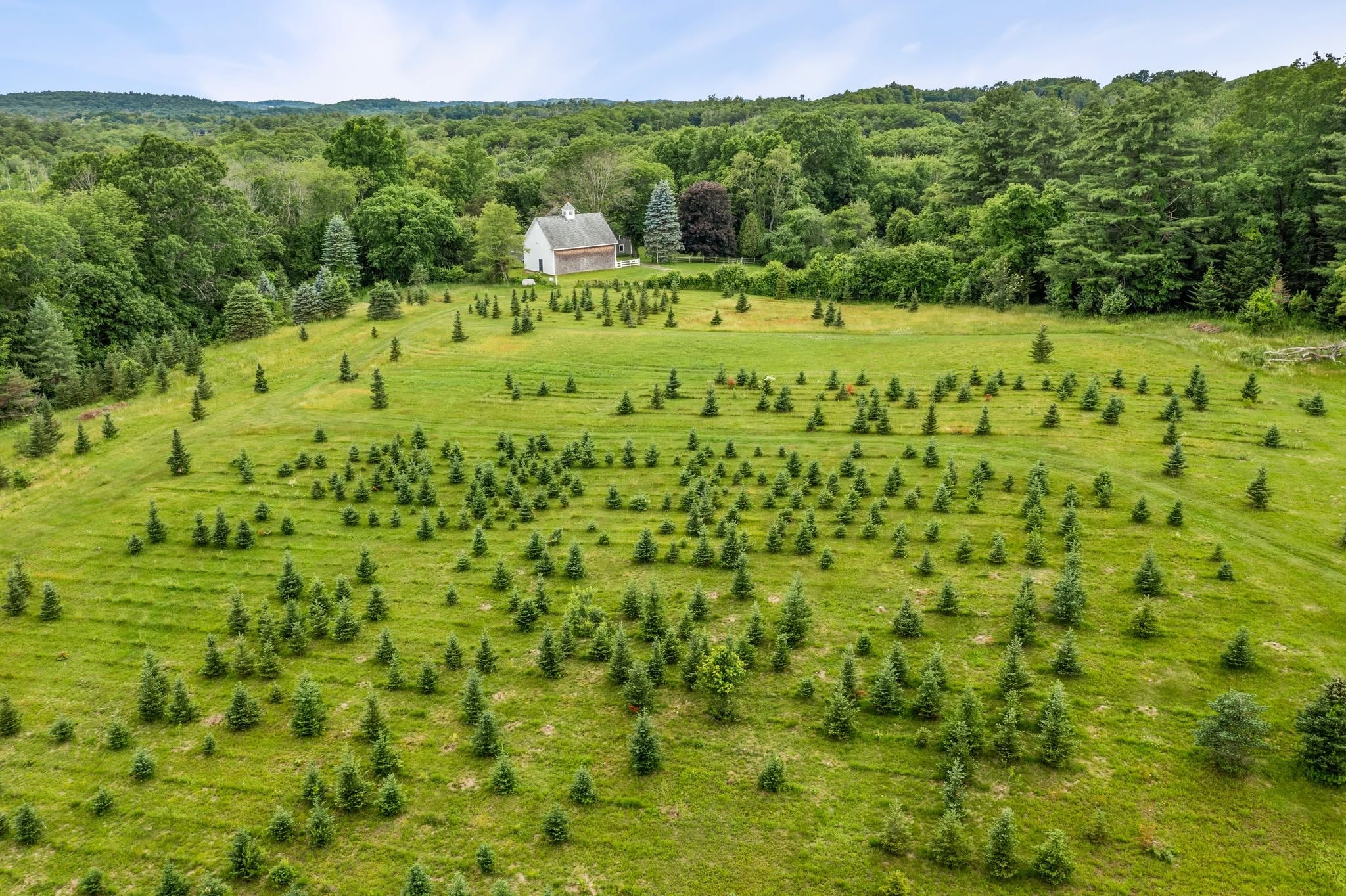 Evergreen Farm — rolling pastures and horses