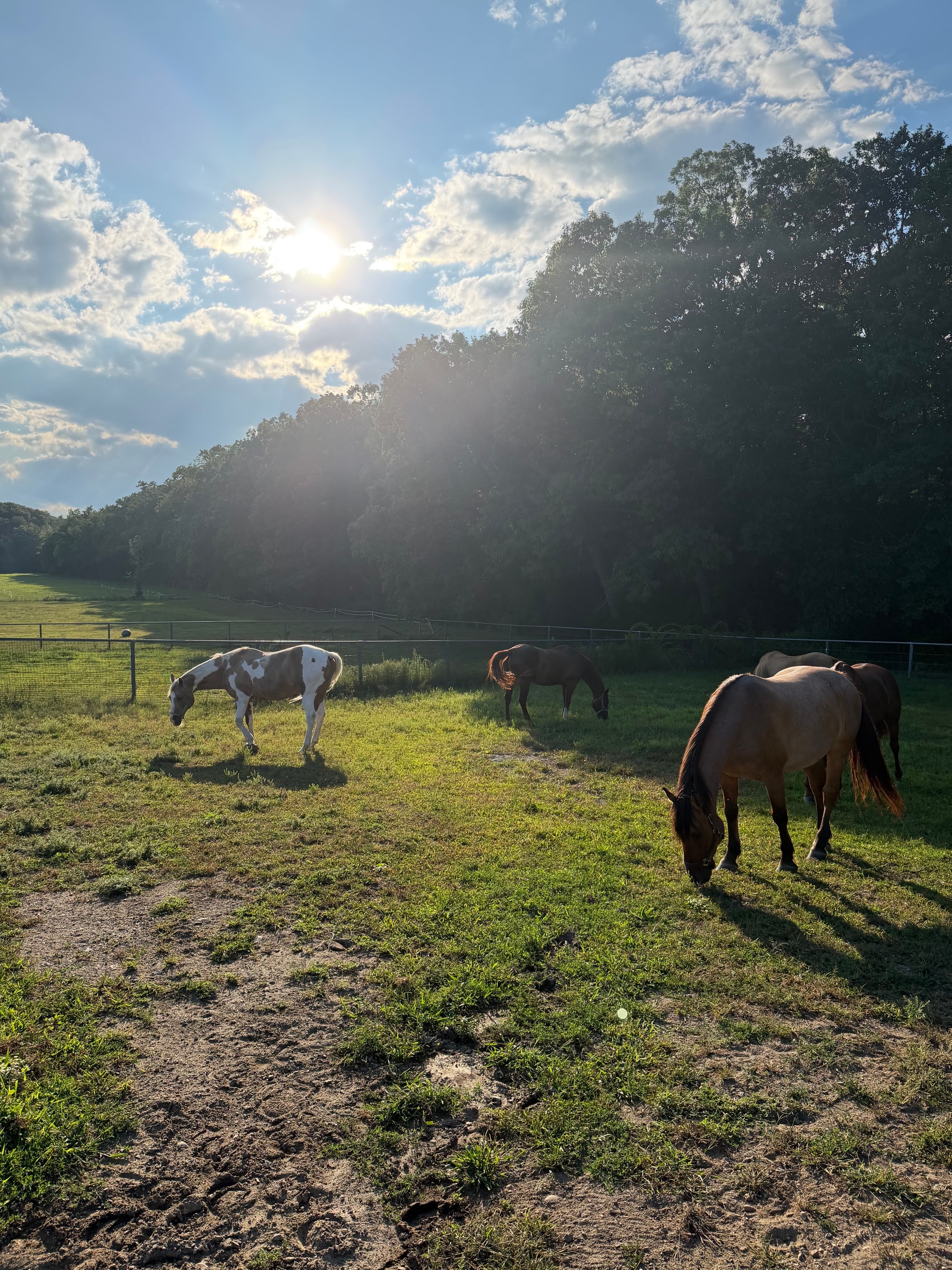 Hidden Spring Sanctuary — intimate farm setting
